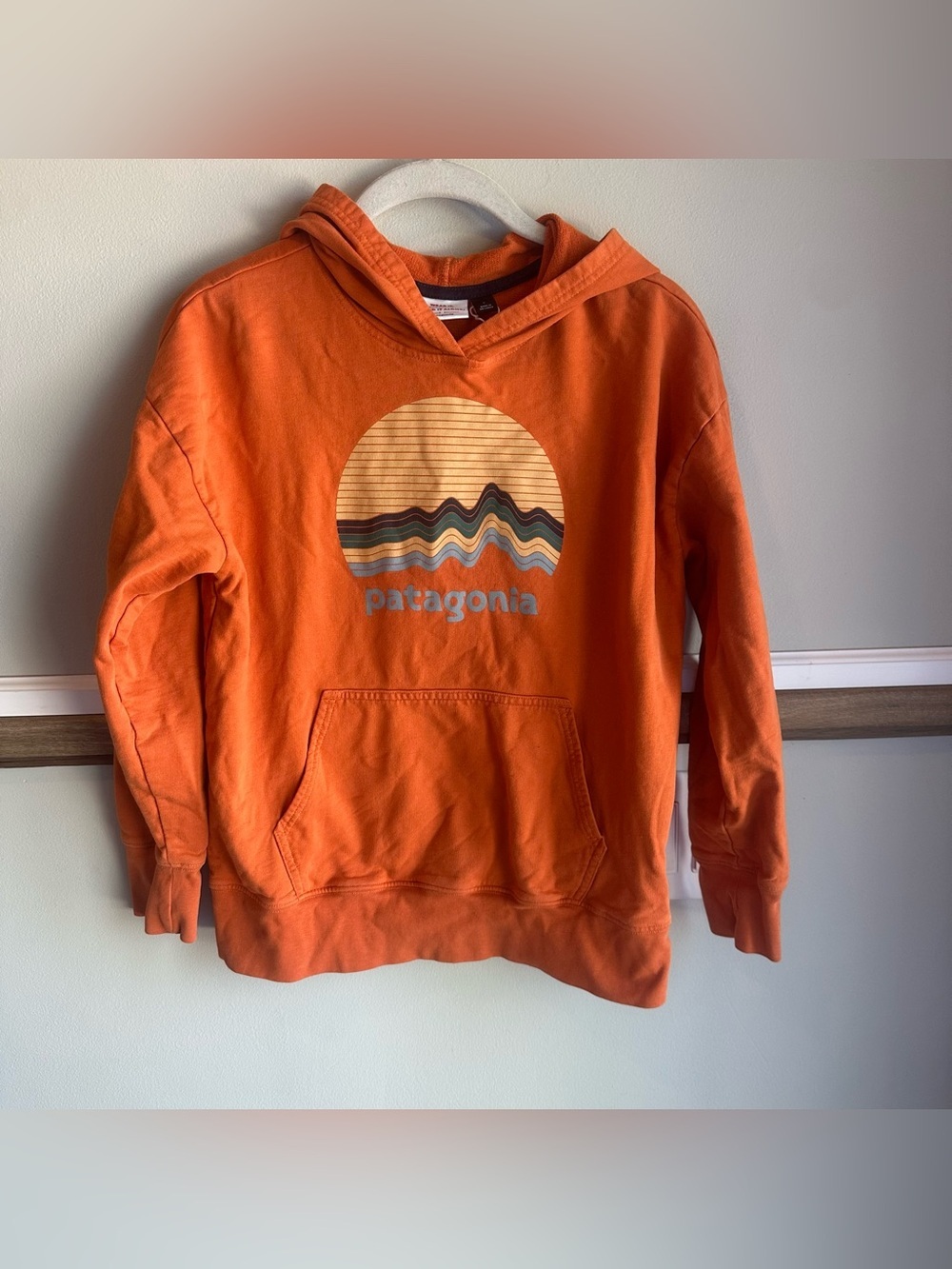 Patagonia Kids' Lightweight Graphic Hoodie Sweatshirt Ridge Rise Moonlight​